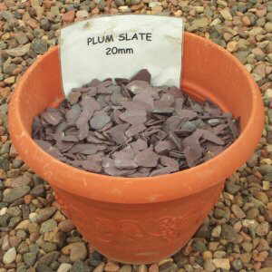 Plum Slate 20mm